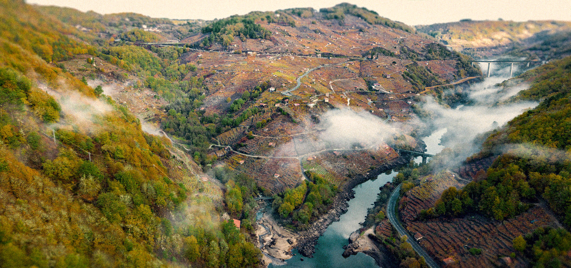 Ribeira Sacra